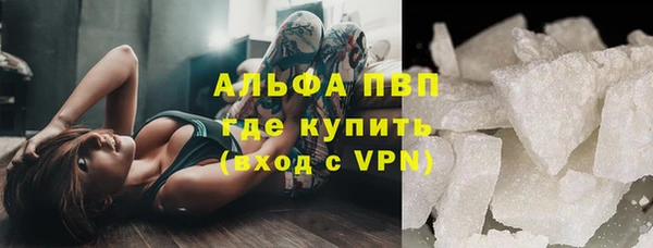 прущие грибы Бежецк