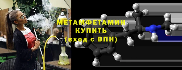 прущие грибы Бежецк