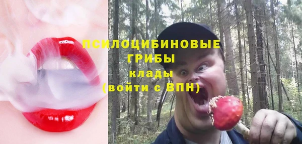 кокс Медвежьегорск