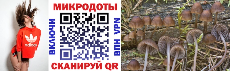Галлюциногенные грибы мухоморы  купить  сайты  Таштагол 